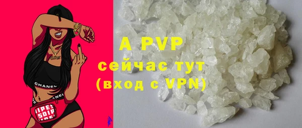 МДПВ Протвино