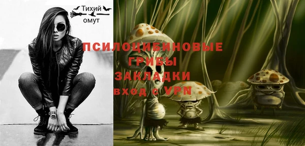 гашик Приозерск