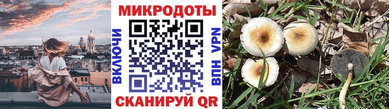 Галлюциногенные грибы Magic Shrooms  Боровск 